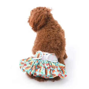Lemmikloomad, Koer Mähe Sanitaar-Füsioloogiline Püksid Pestav Pet Püksikud Mähkmete Menstruatsioon Aluspesu Väike Keskmine Koerad - Pilt 1  